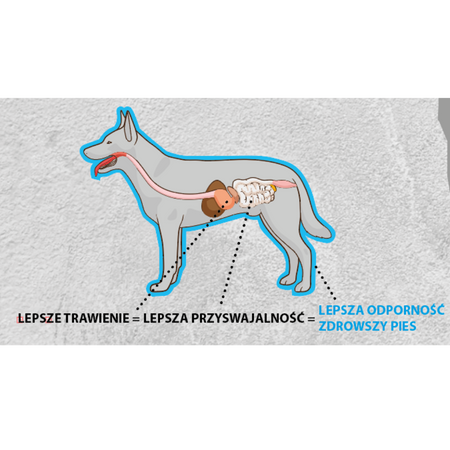 Karma Kudo Cold Pressed Czerwone Mięso&Warzywa Mini Adult 12kg