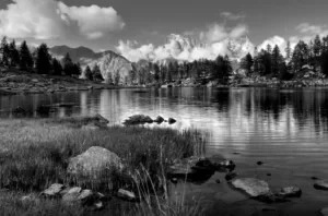 Karma Kudo Cold Pressed Czerwone Mięso&Warzywa Medium Maxi Adult 3kg